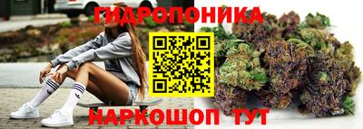 ГАЛЛЮЦИНОГЕННЫЕ ГРИБЫ Бийск