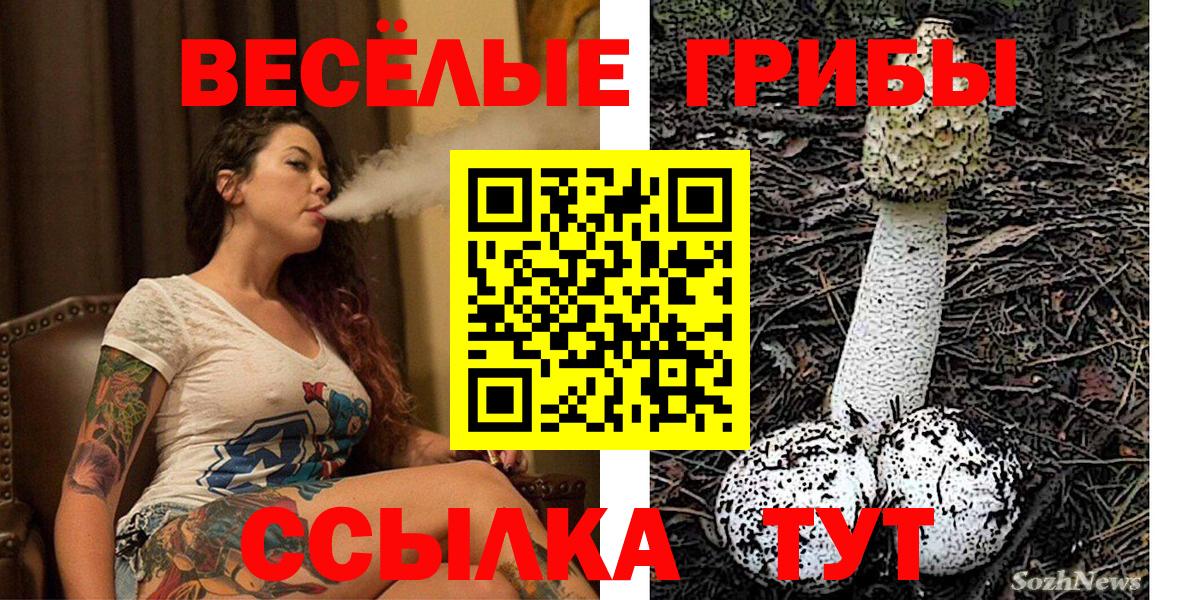 Псилоцибиновые грибы Psilocybine cubensis Канаш