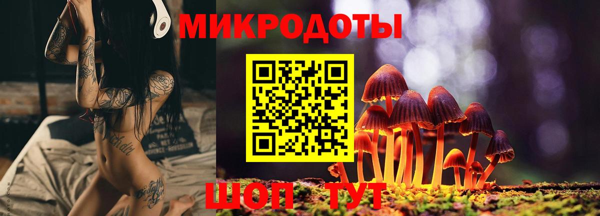 Галлюциногенные грибы Psilocybe  Вход с VPN  Канаш 